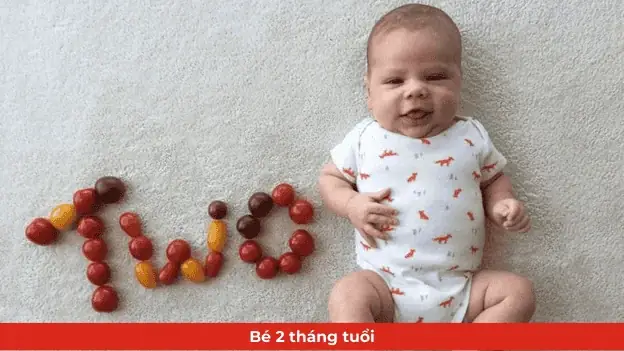 Chăm Sóc Bé Sơ Sinh 2 Tháng Tuổi Chăm Sóc Bé Sơ Sinh 2 Tháng Tuổi