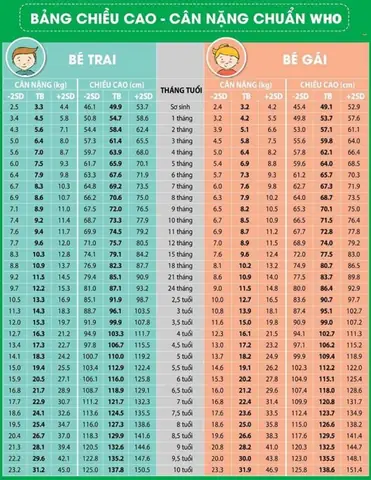 Chăm Sóc Trẻ 10 12 Tháng Tuổi