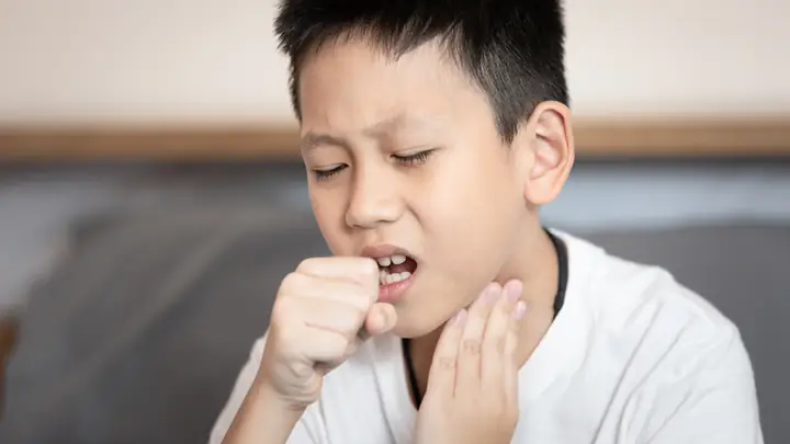 Chanh Dao Ngam Mat Ong Chua Benh Gi