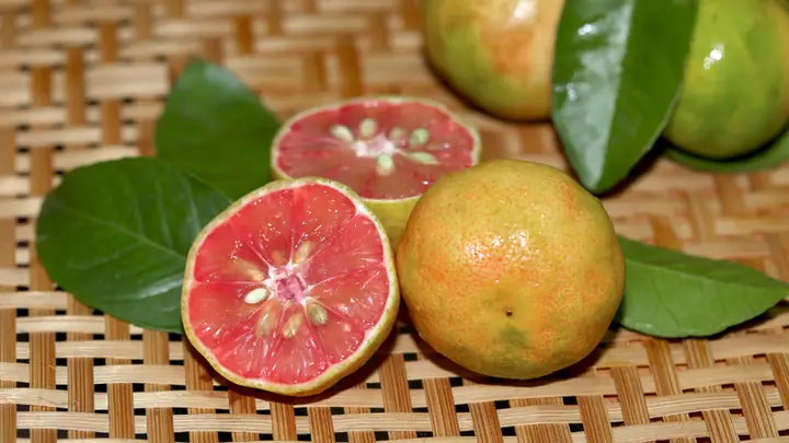 Chanh Dao Ngam Mat Ong Chua Benh Gi