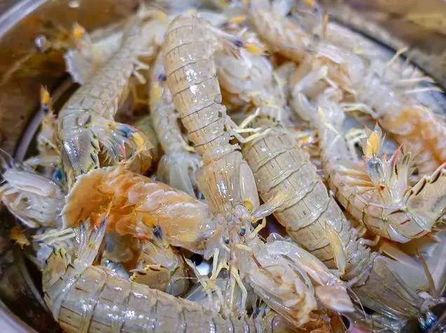 Cháo Bề Bề Cho Bé Ăn Dặm