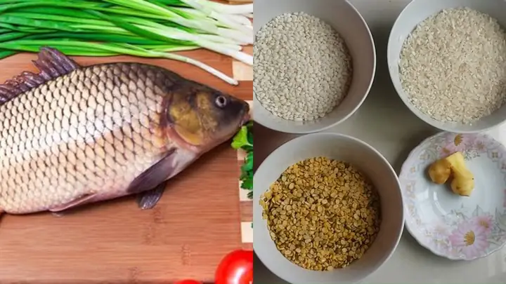 Cháo Cá Chép Đậu Xanh Cho Bé