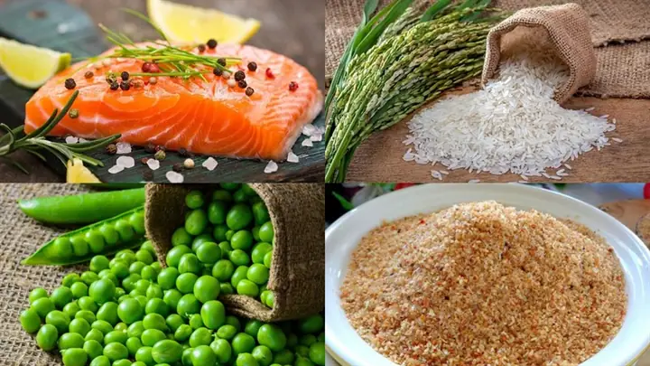 Cháo Cá Hồi Đậu Hà Lan