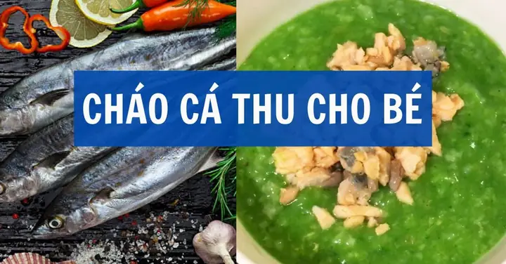 Cháo Cá Thu Cho Bé 7 Tháng