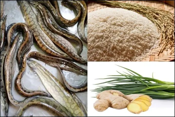 Cháo Chạch Cho Bé Ăn Dặm