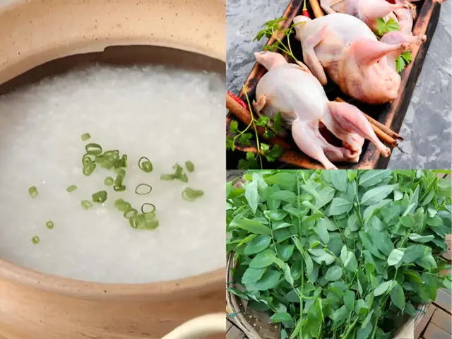 Cháo Chim Bồ Câu Rau Ngót Cháo Chim Bồ Câu Rau Ngót