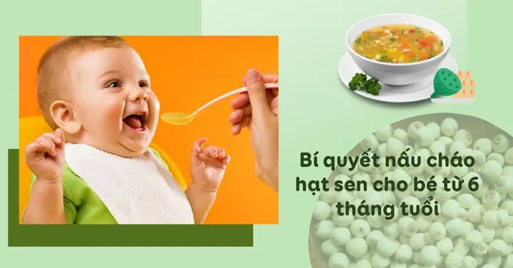Cháo Hạt Sen Cho Bé 6 Tháng Tuổi Cháo Hạt Sen Cho Bé 6 Tháng Tuổi