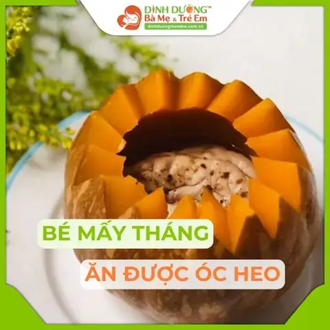 Cháo Óc Heo Cho Bé Có Tốt Không