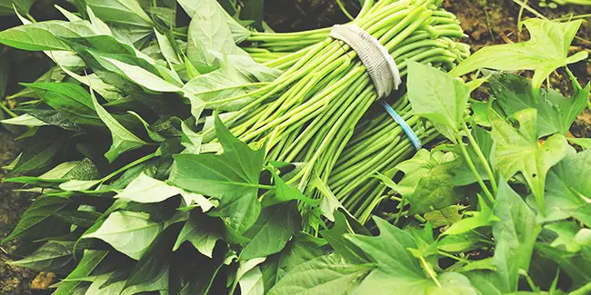 Cháo Rau Khoai Lang Cho Bé Ăn Dặm