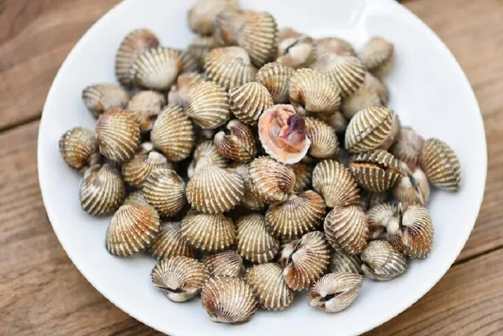 Cháo Sò Huyết Cho Bé 1 Tuổi Cháo Sò Huyết Cho Bé 1 Tuổi