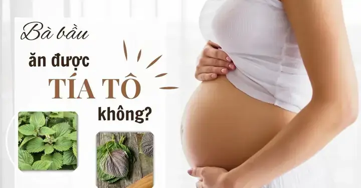 Cháo Tía Tô Giải Cảm Cho Bà Bầu