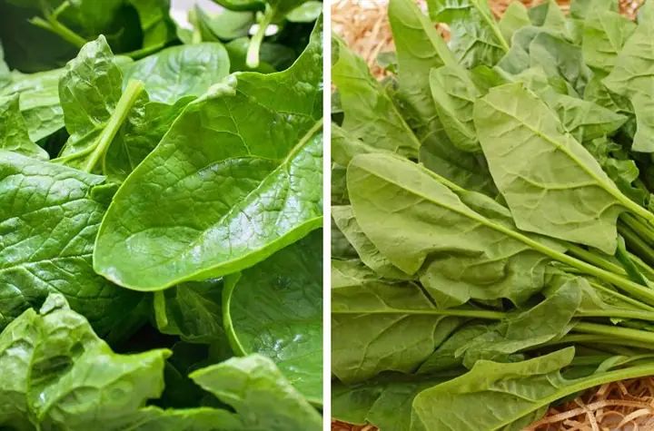 Chế Biến Cải Bó Xôi Cho Bé Ăn Dặm