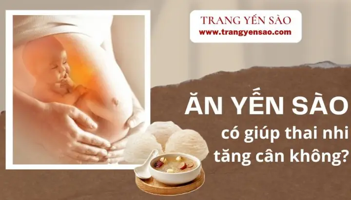 Chế Độ Ăn Cho Thai Nhi Tăng Cân Nhanh