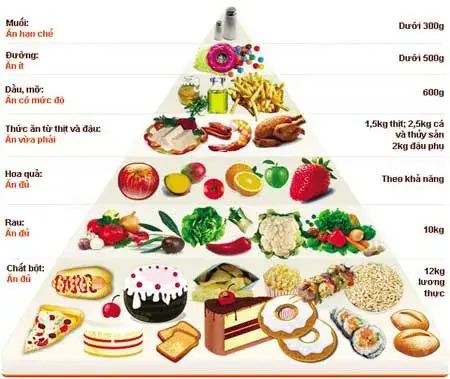 Chế Độ Dinh Dưỡng Cho Trẻ 9 Tháng
