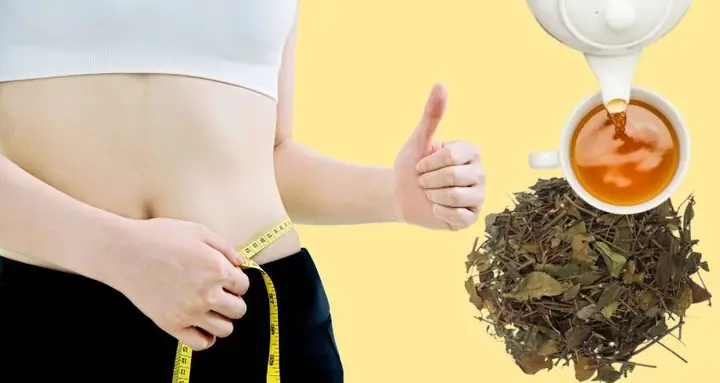 Chè Vằng Có Giảm Cân Được Không
