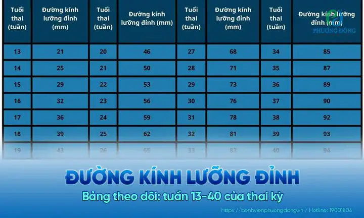 Chỉ Số Bpd Trong Siêu Âm Thai