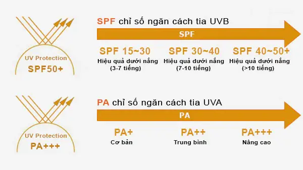 Chỉ Số Chống Nắng Spf 50 Là Gì