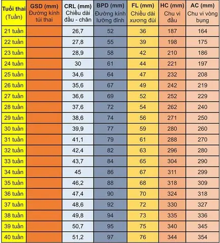 Chỉ Số Thai Nhi 21 Tuần Tuổi