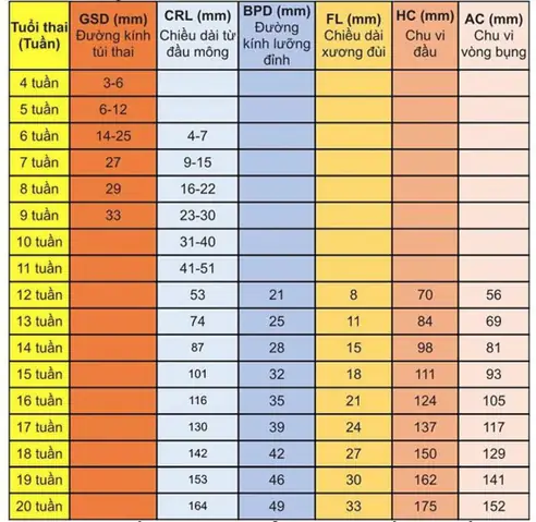Chỉ Số Thai Nhi 21 Tuần Tuổi