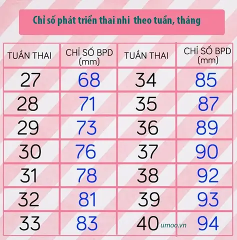 Chỉ Số Thai Nhi 33 Tuần 4 Ngày