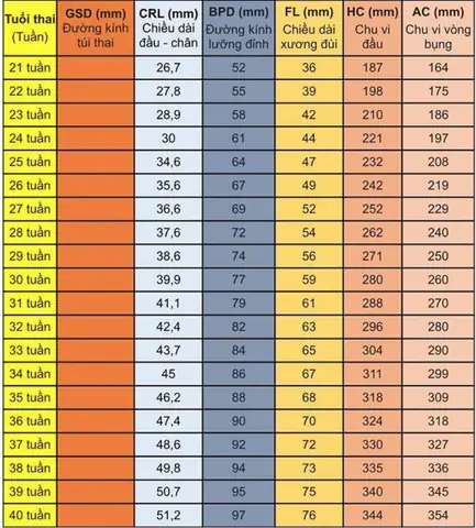 Chỉ Số Thai Nhi 38 Tuần