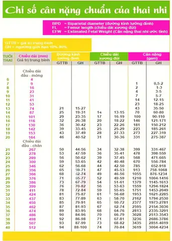 Chỉ Số Xương Đùi Thai Nhi