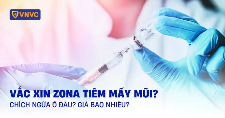 Chich Ngua O Dau Tot Nhat