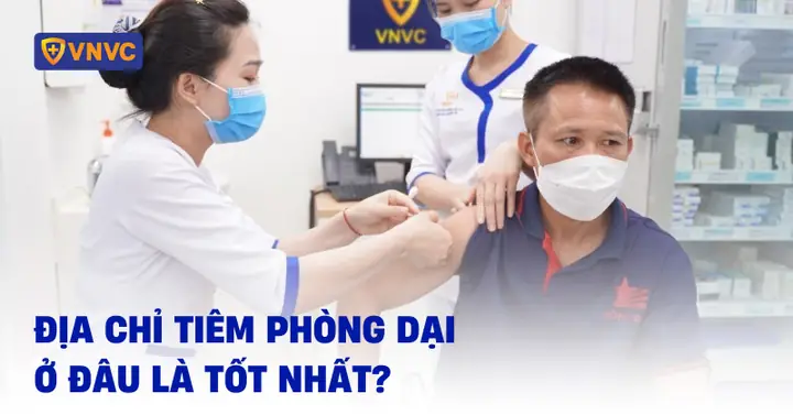Chich Ngua O Dau Tot Nhat