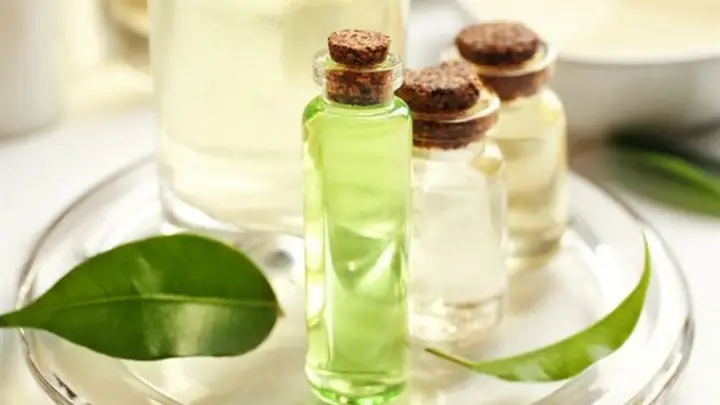 Chiết Xuất Trà Xanh Có Tác Dụng Gì