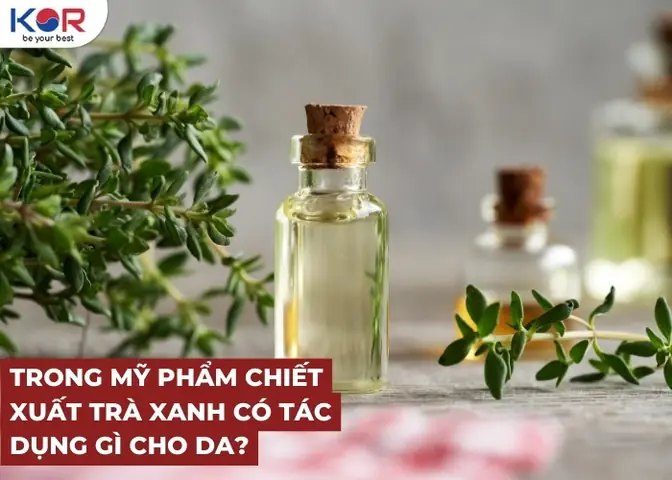Chiết Xuất Trà Xanh Có Tác Dụng Gì