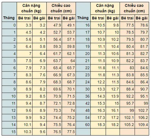 Chiều Cao Bé Gái 13 Tháng