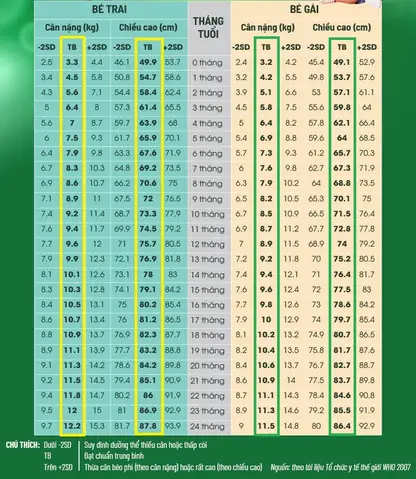 Chiều Cao Cân Nặng Bé Trai 18 Tháng