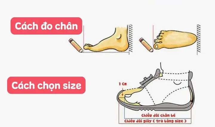 Chiều Dài Chân Bé 1 Tuổi