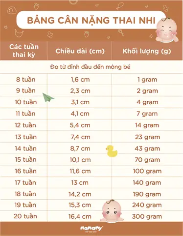 Chieu Dai Xuong Dui Thai Nhi