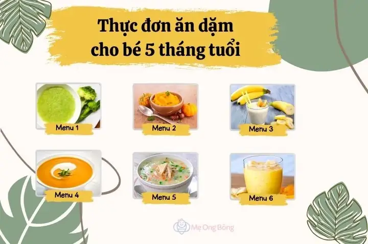 Cho Bé 5 Tháng Ăn Dặm Như Thế Nào