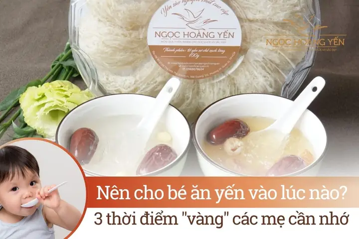 Cho Bé Ăn Yến Sào Khi Nào