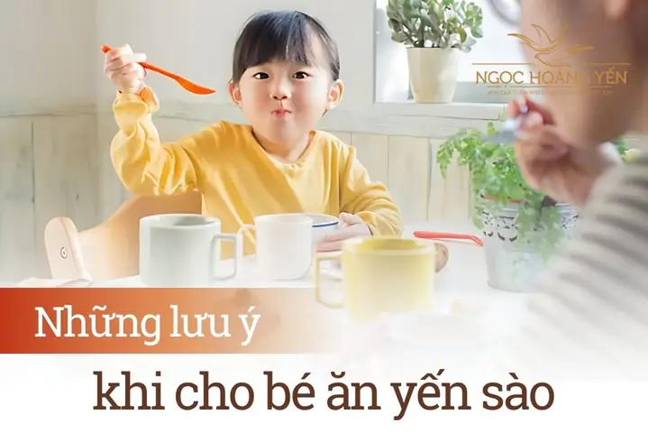 Cho Bé Ăn Yến Sào Khi Nào