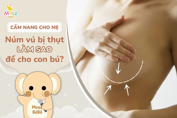 Cho Con Bu An Kho Qua Duoc Khong