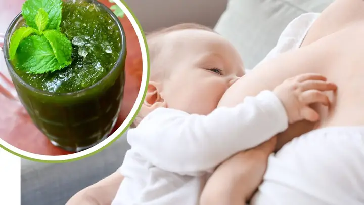 Cho Con Bú Ăn Rau Câu Được Không Cho Con Bú Ăn Rau Câu Được Không