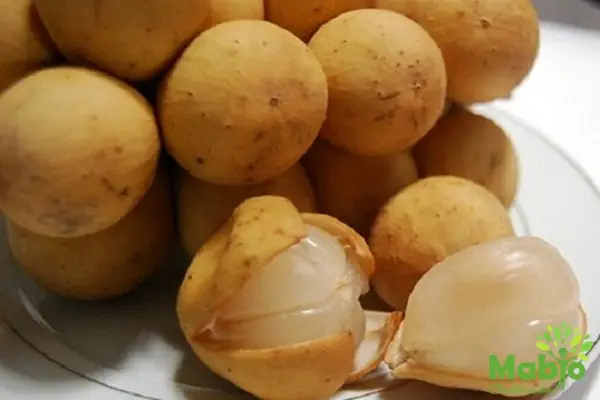 Cho Con Bú Có Ăn Được Quả Bòn Bon Không