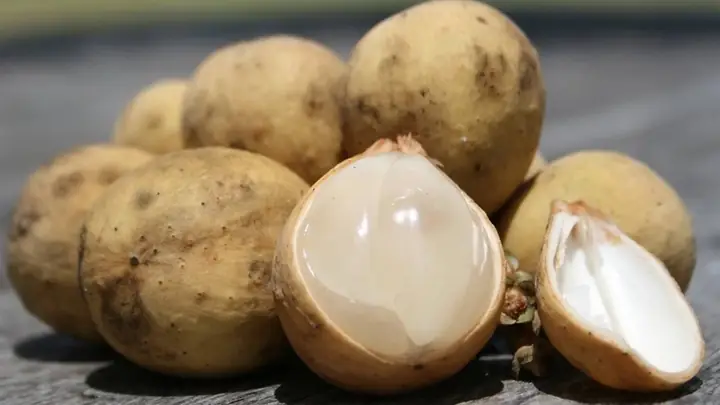 Cho Con Bú Có Ăn Được Quả Bòn Bon Không Cho Con Bú Có Ăn Được Quả Bòn Bon Không