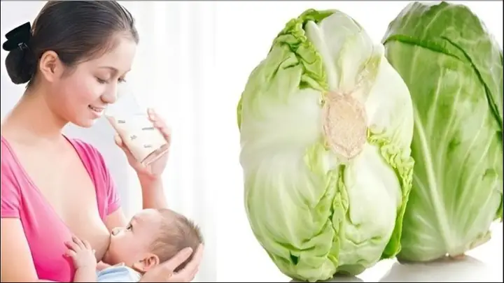 Cho Con Bú Có Nên Ăn Bắp Cải