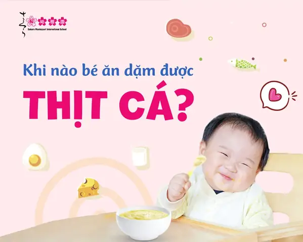 Cho Trẻ Ăn Dặm Khi Nào