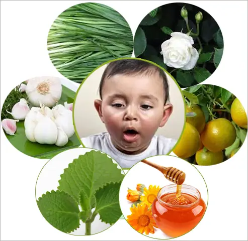 Chữa Ho Cho Trẻ Sơ Sinh Bằng Mật Ong