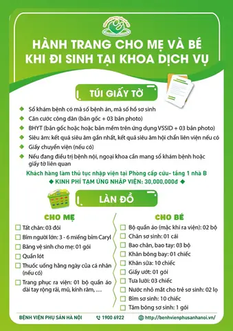 Chuan Bi Di Sinh Can Mang Theo Nhung Gi