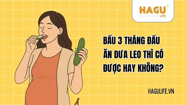 Có Bầu 3 Tháng Đầu Ăn Dưa Leo Được Không