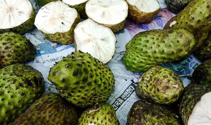Co Bau An Mang Cau Duoc Khong Co Bau An Mang Cau Duoc Khong