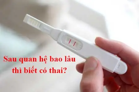 Có Bầu Bao Lâu Thì Thèm Ăn