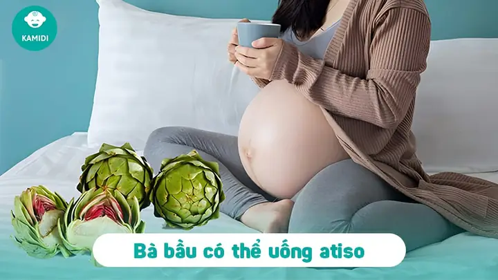 Có Bầu Uống Trà Atiso Được Không