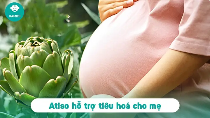 Có Bầu Uống Trà Atiso Được Không